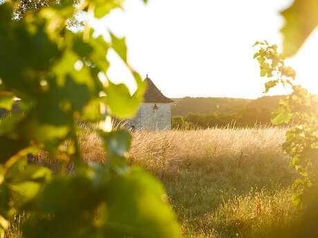Vignoble des Verdots | Dîner dans les vignes