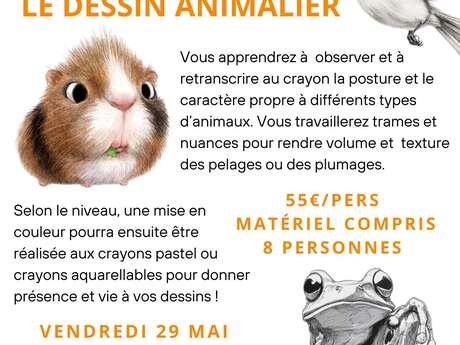 Stage dessin-peinture : Le dessin animalier