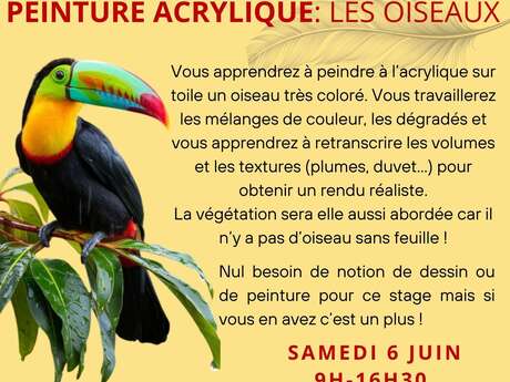 Stage dessin-peinture : Peinture Acrylique - Les oiseaux