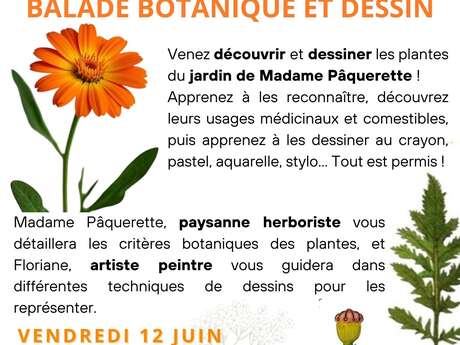 Stage dessin-peinture : Balade Botanique