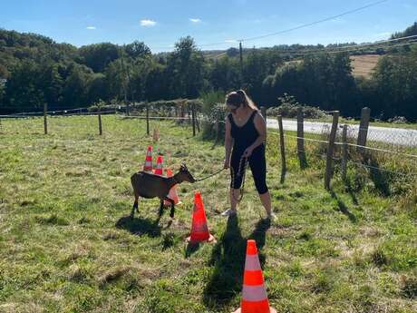 Visite active et pédagogique de la ferme Equi'libre