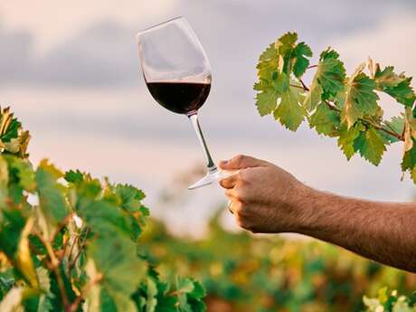 Soirées Vigneronnes au Domaine de Lasfargues