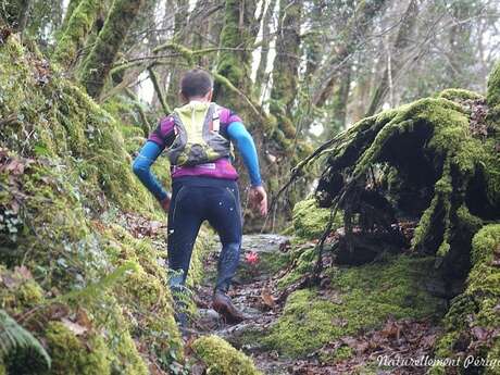 Trail des gorges de l'Auvézère