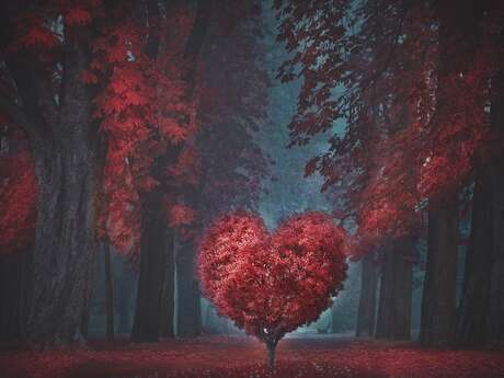 Soirée Saint-Valentin au Quai Vézère