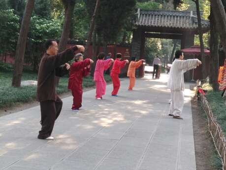 Cours de Qi Gong