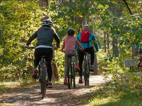 Venez tester un circuit vélo sur le territoire Dronne et Belle