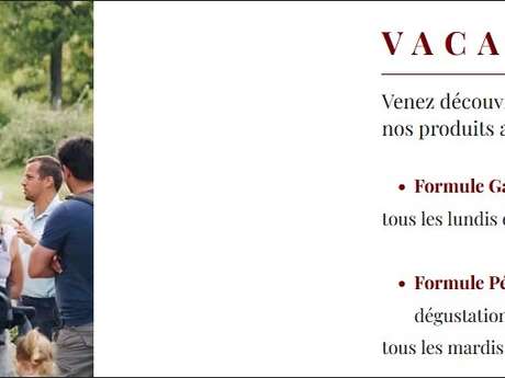 Visite prestige Ferme truffes et porcs noirs