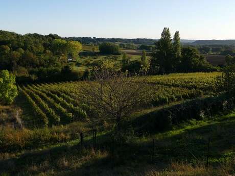 DOMAINE DE GRIMARDY | Découverte marche nordique et dégustation
