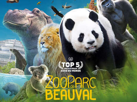 Voyage au Zoo de Beauval