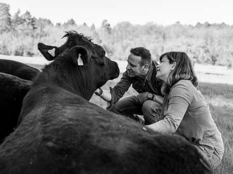 Les prairies de Labourarie