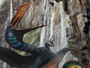 Cinéma en plein air : Jurassic World, Renaissance