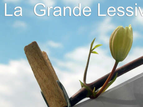 La Grande Lessive