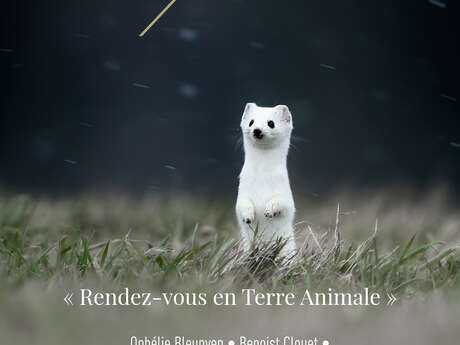 Exposition "Errances Photographiques"