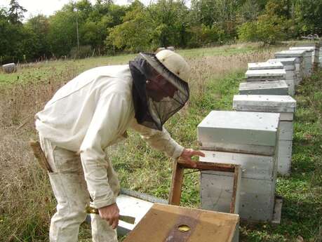 Apiculture Bio Chez Hervé Poirier