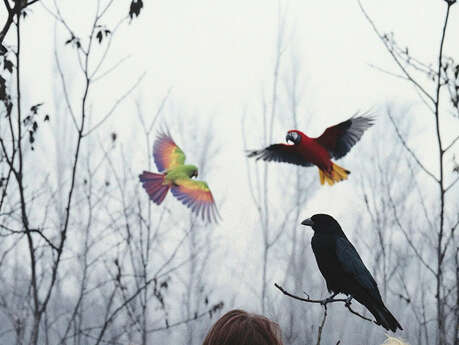 Odyssée - APRÈS LE FEU