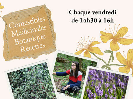 Ateliers Plantes Sauvages
