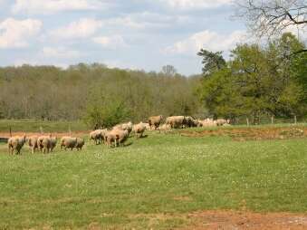 Ferme les Jaubertins