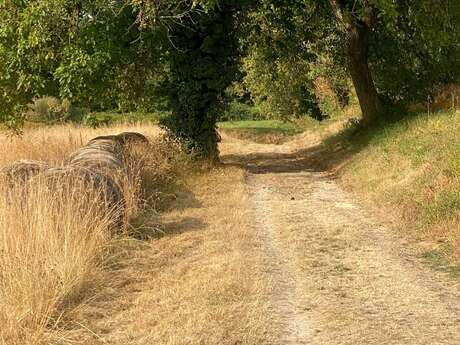 Boucle de Maine Moulin