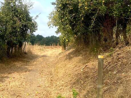 Boucle des Fontanelles