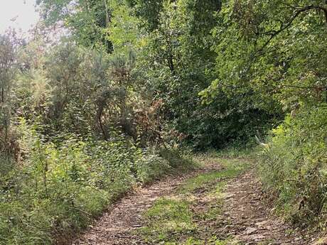 Boucle des châtaigniers à Salles de Belvès