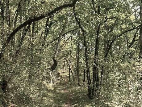 Boucle de Berbiguières