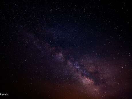 Balade nocturne : à la rencontre des merveilles de la nuit
