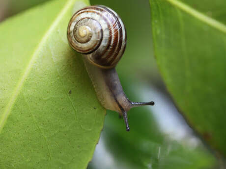Les 24h de la biodiversité