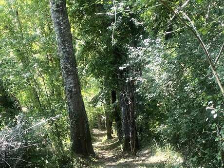 Boucle des Eperliches