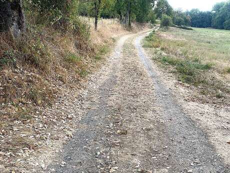 Boucle des Coteaux de L'Auvezère