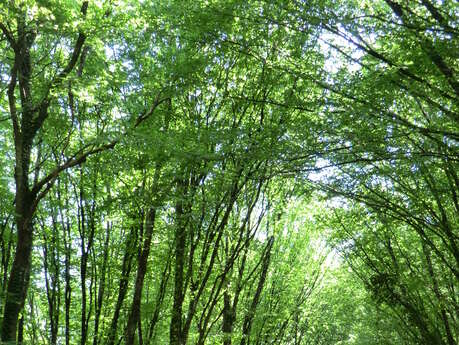Le circuit de Trousse Brune à La Roche-Chalais