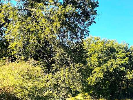 Boucle Dronne et Trincou