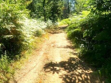 Boucle du Chemin d'Ambroise