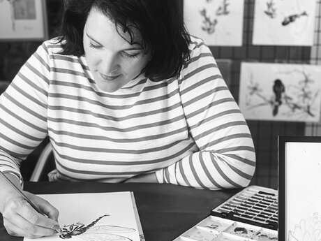 Animation boutique : Céline Seguin illustratrice