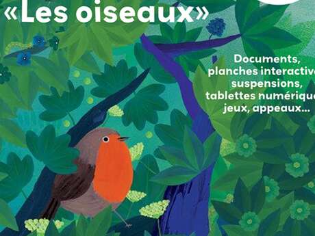 Exposition : Les Oiseaux