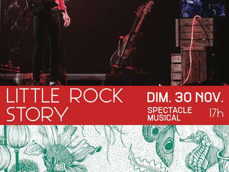 Little Rock Story