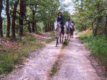 La Vallée des Châteaux à cheval - Poney Club