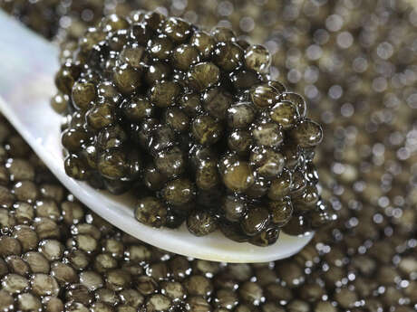 CAVIAR PERLE NOIRE