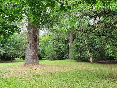 Parc de Matecoulon