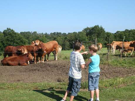 Ferme pédagogique du Domaine des Chaulnes