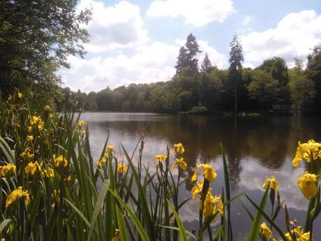 Etang de Puy de Bost