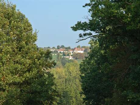Boucle de la Vallée - Conne de Labarde