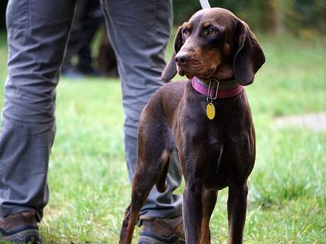 Repas de chasse de la société de chasse de Port-Sainte-Foy-et-Ponchapt