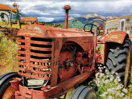 Comice agricole
