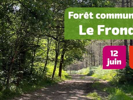 Balade acompagnée dans la forêt communale de Boulazac-Isle-Manoire