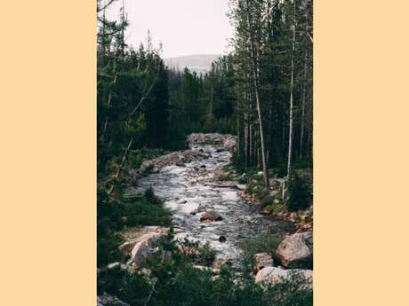 Excursion : Carnets d'aventures