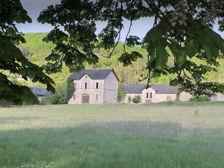 La cour de la Fleunie - Gîte 3