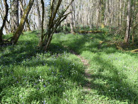 Boucle de la Filature et du Moulin