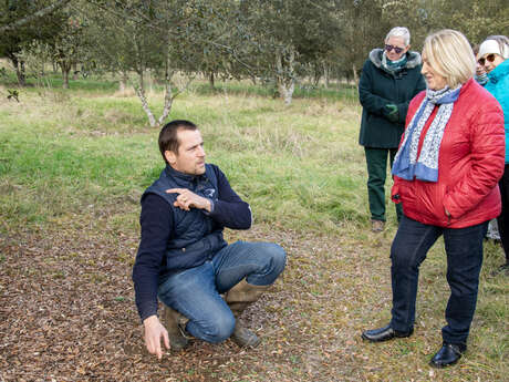 Visite et dégustation Ferme de porcs noirs
