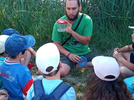 Découverte des petites bêtes des Tourbières