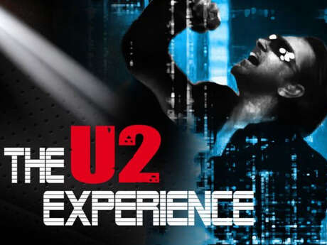 The U2 Experience